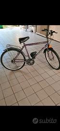 Bici MTB TG 26 UOMO 