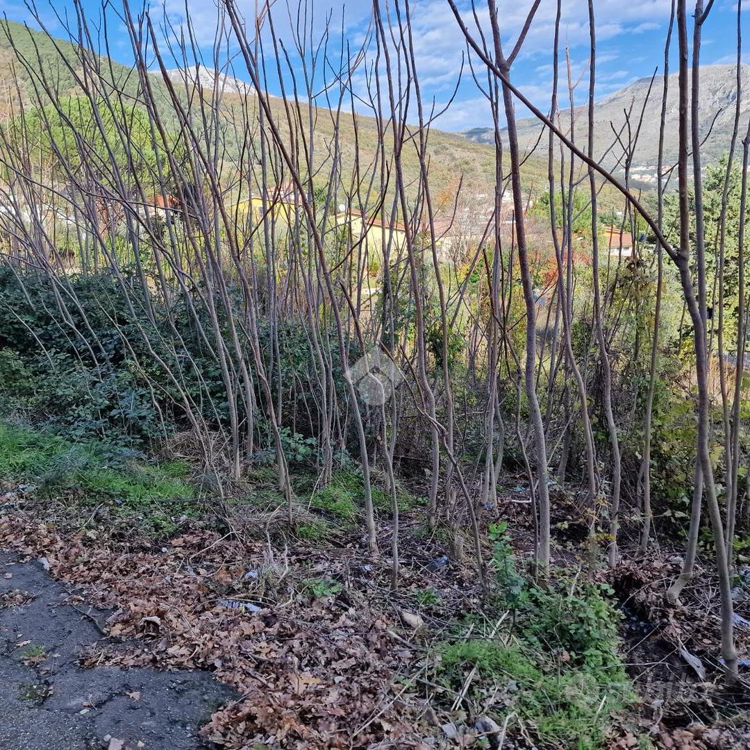 TER. RESIDENZIALE A CAUTANO - Vista 4