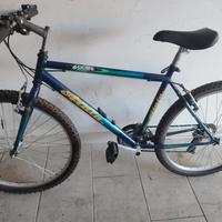 Venerdì MTB