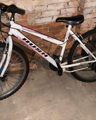 bicicletta donna