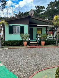 Casa Mobile