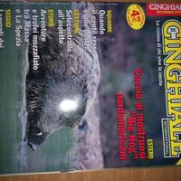 riviste Cinghiale International
