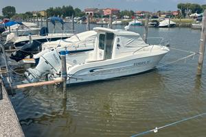 Sessa Dorado 22