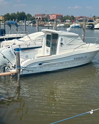 Sessa Dorado 22