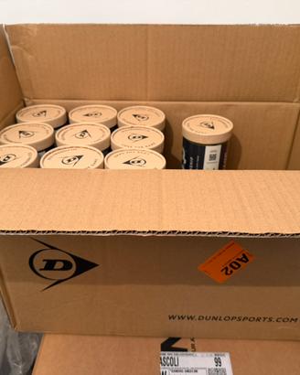 10 tubi 4 palline tennis dunlop ATP championship