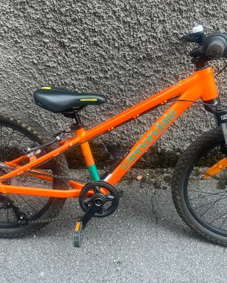 Cannondale Kids Trail 20