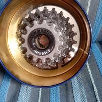 corona america regina extra 