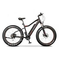 fat e-bike 