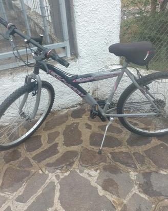 Mountain bike 