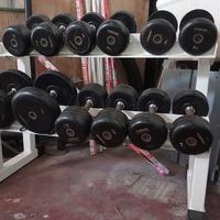 serie di manubri ivanko