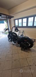 harley davidson  Street bob 