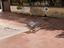 Immagine 28