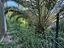 Immagine 12
