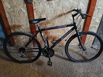 biciclette stock 