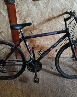 biciclette stock 