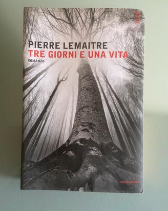 Tre giorni e una vita  “ Le Matre Pierre