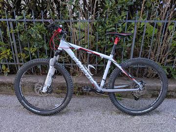 Focus Black Forest 2014