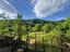 Immagine 10