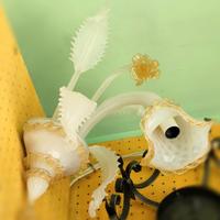 Apliques in vetro originale di Murano 