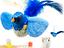 Immagine 2