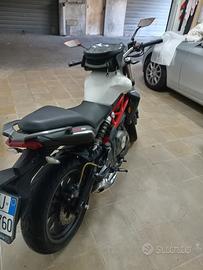 Benelli 302 R - 2017