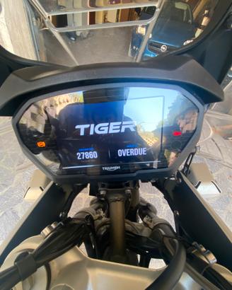 Tiger 800 xca