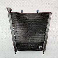 RADIATORE RTM IMOLA OHVALE GP pitbike mini gp