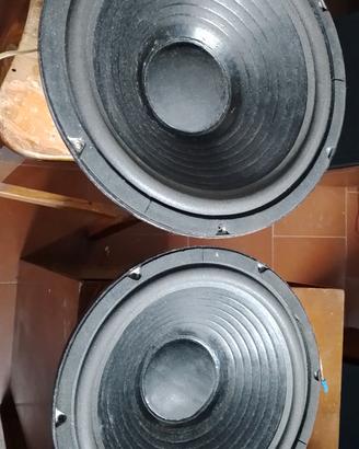 coppia woofer ciare da 32cm ribordati da poco 
