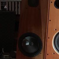 Diffusori  Avalon Hiend modello Arcus/ permuta