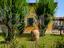 Immagine 12