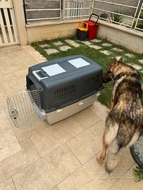 Kennel ferplast grande