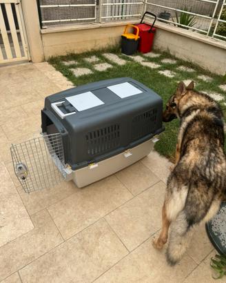 Kennel ferplast grande