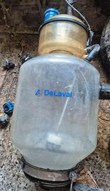 vaso mungitrice Delaval Alfalaval 