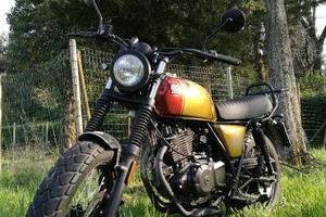 Brixton Cromwell Saxby 250