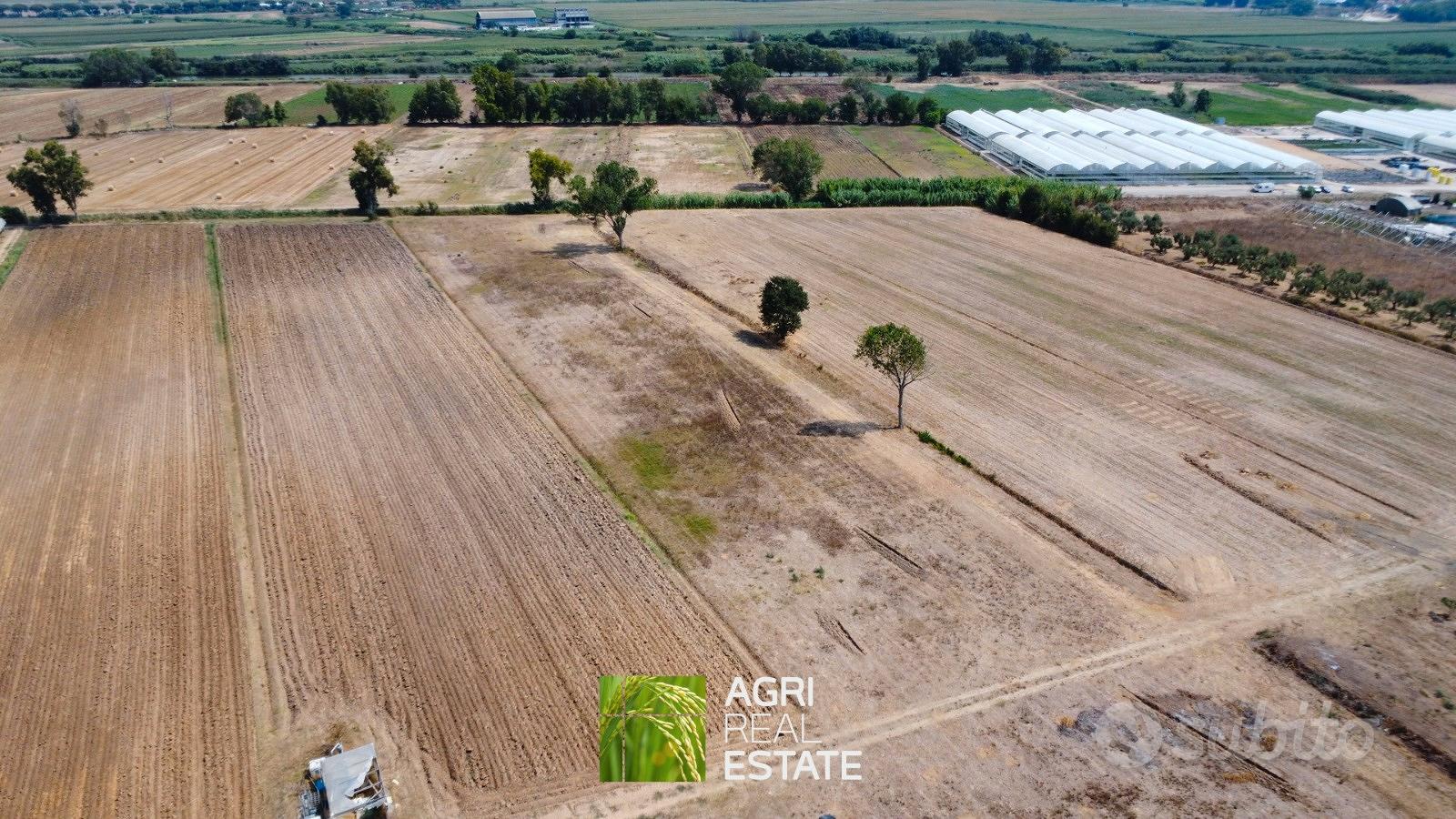 Terracina (LT) - Hermada - Terreno 1,5 HA | TR440 - Vista 3