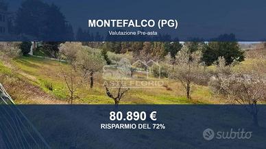 Immobile in asta di 5701 m² a Montefalco