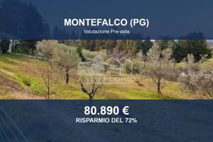 Immobile in asta di 5701 m² a Montefalco