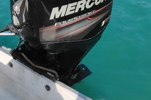 BARCA mod. Freedom 18 terminal boat