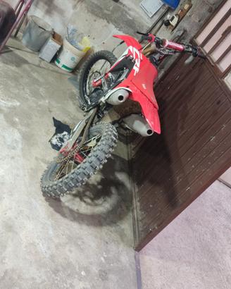 Derbi drp pro 50 