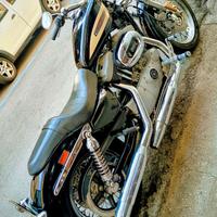 Sportster xl 1200 R 2005.