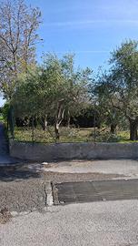 Terreneo per villa Albenga