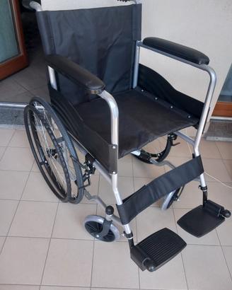 sedia a rotelle 