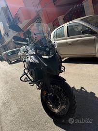 Benelli 502 C - 2023