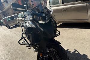 Benelli 502 C - 2023