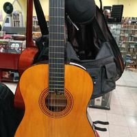 Chitarra Acustica Squirrel