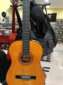 Chitarra Acustica Squirrel