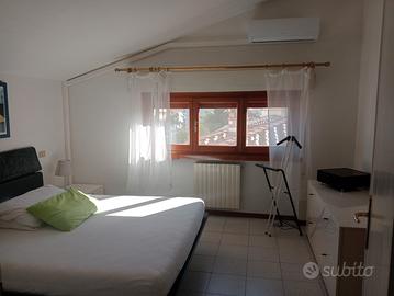 Viareegio - disponibile dal 23 al 30 agosto