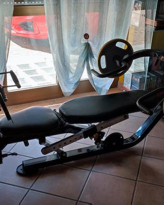 Panca da palestra multiuso Powertec