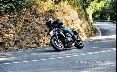 Kawasaki er6-N