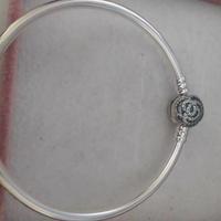 Pandora Disney Bracciale La Bella e la Bestia (19)